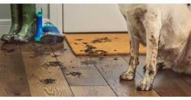 ¿Playa, campo o sur? La rutina de limpieza que necesitas en verano según tu destino