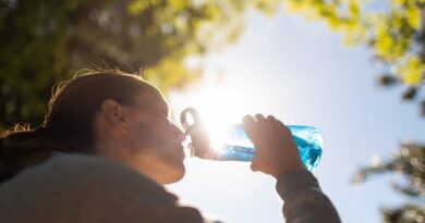 Calor extremo afectará la zona central de Chile durante el fin de semana