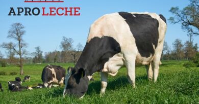 Aproleche Osorno estrena su nueva imagen de marca