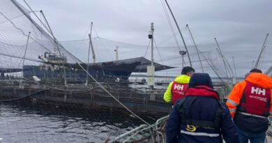 Sernapesca monitorea evento de mortalidad de salmones por bajas de oxígeno en Quinchao