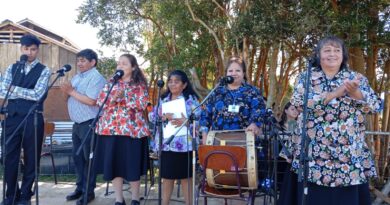 Con gran concurrencia se realizó la 4° “Feria del Salmón” en Huillinco.