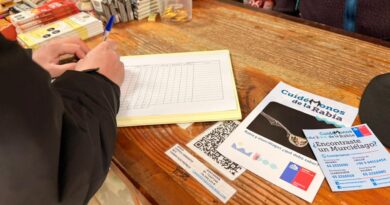 Confirman caso positivo de rabia en murciélago hallado en Frutillar Bajo