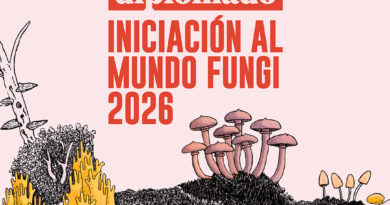 Últimos días de inscripción para el Diplomado Iniciación al Mundo Fungi 2026