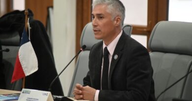 Consejero regional Eduardo Parada plantea soluciones de largo plazo ante la inestabilidad del precio de la papa