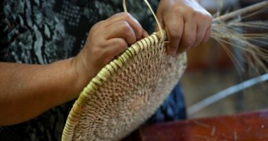 Oficios Varios desarrolló nueva versión del Taller de Cestería Mapuche del Llepu en La Araucanía