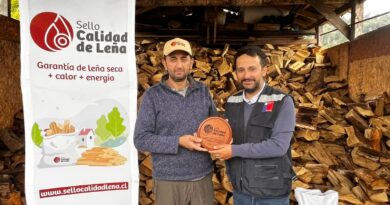 Más de 300 millones de pesos invirtió el Ministerio de Energía en proyectos para fomentar el mercado formal de leña seca en la región de Los Lagos