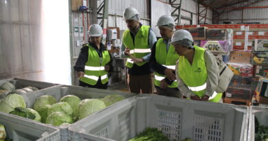 Junaeb entregará alimentación a más de 113 mil estudiantes  de la región durante este año escolar