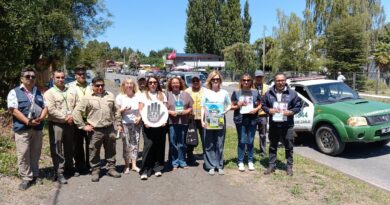 Operativo intersectorial fiscalizó y entregó recomendaciones a turistas en sector Las Cascadas