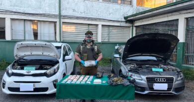 Osorno: Carabineros desbarata banda dedicada al tráfico de drogas