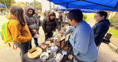 Feria de Antigüedades reunió a 15 expositores en la Costanera de Frutillar