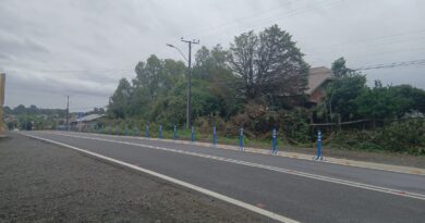 Saesa concreta mejoras en sector de Pilmaiquén y fortalece la continuidad del suministro eléctrico