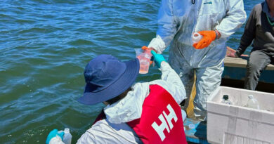 Lago Vichuquén enfrenta persistente crisis ambiental pese a reciente disminución de floraciones algales