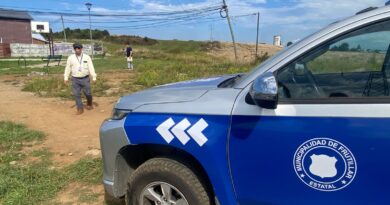 Alcalde de Frutillar solicitó investigación a la Seremi de Salud por fuertes olores en la comuna